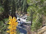 The fall colors look good along the south fork of the Payette river