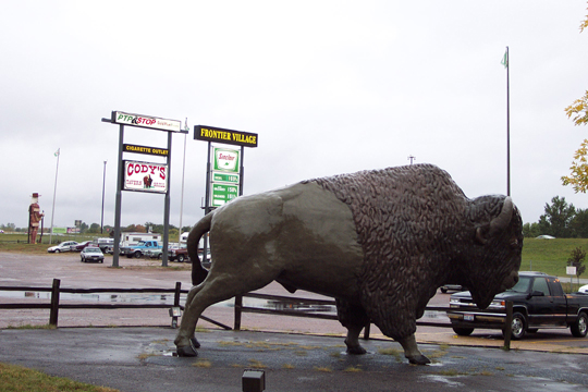 Buffalo at Truck Stop