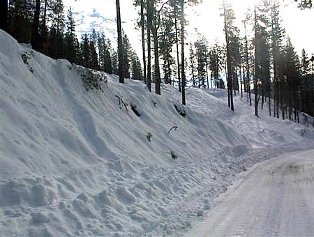 Picture showing the amount of snow at our property taken from robie creek rd in winter of 2001